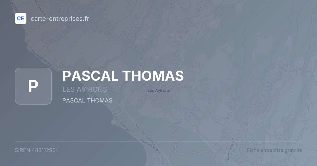 PASCAL THOMAS — 488112954 — fiche entreprise