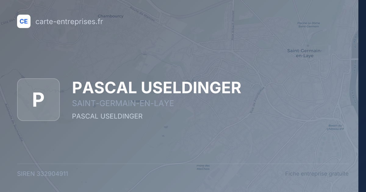 PASCAL USELDINGER — 332904911 — fiche entreprise