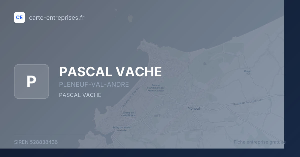 PASCAL VACHE — 528838436 — fiche entreprise
