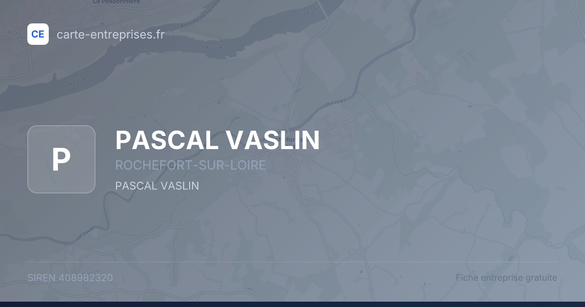 PASCAL VASLIN — 408982320 — fiche entreprise