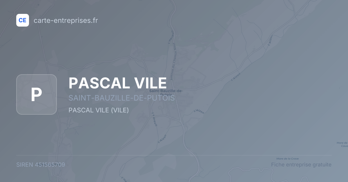 PASCAL VILE — 451565709 — fiche entreprise