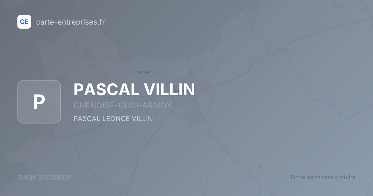 PASCAL VILLIN — 333208007 — fiche entreprise