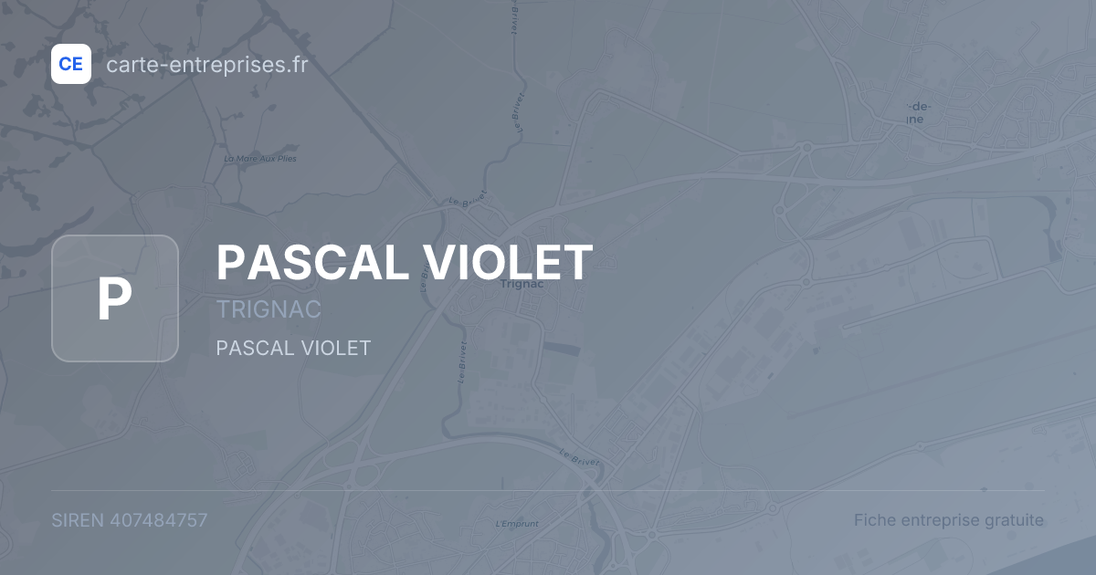 PASCAL VIOLET — 407484757 — fiche entreprise