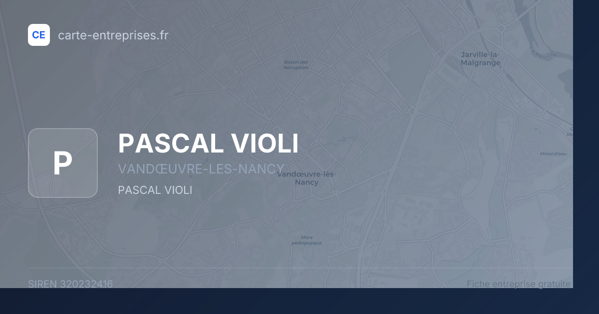 PASCAL VIOLI — 320232416 — fiche entreprise
