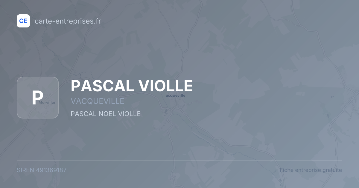 PASCAL VIOLLE — 491369187 — fiche entreprise