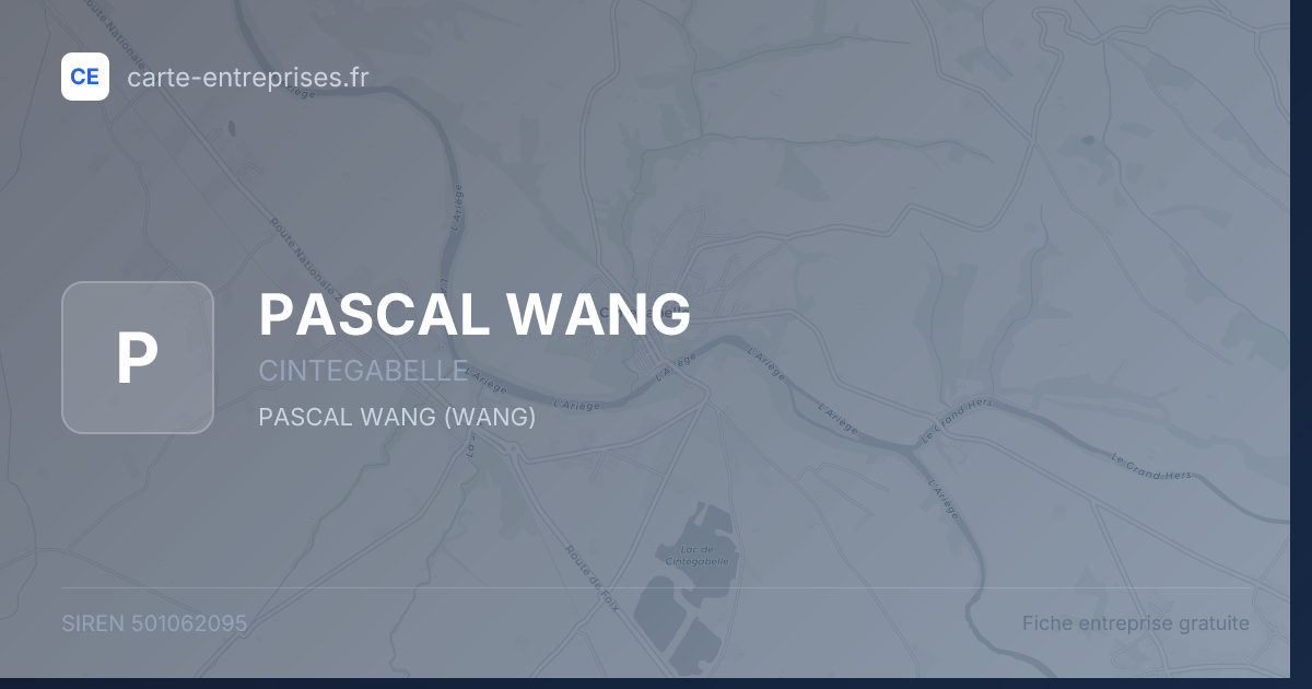 PASCAL WANG — 501062095 — fiche entreprise