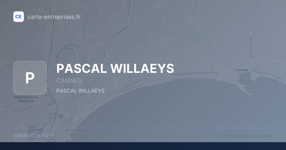 PASCAL WILLAEYS — 437981673 — fiche entreprise