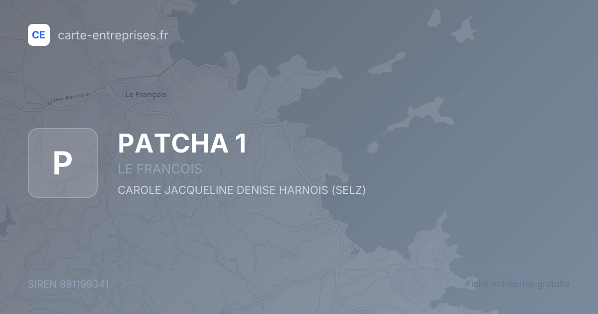 PATCHA 1 — 891199341 — fiche entreprise