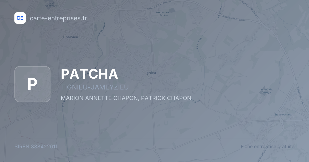 PATCHA — 338422611 — fiche entreprise