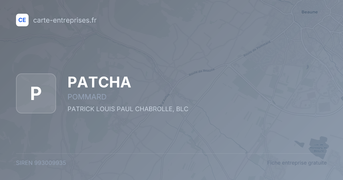 PATCHA — 993009935 — fiche entreprise