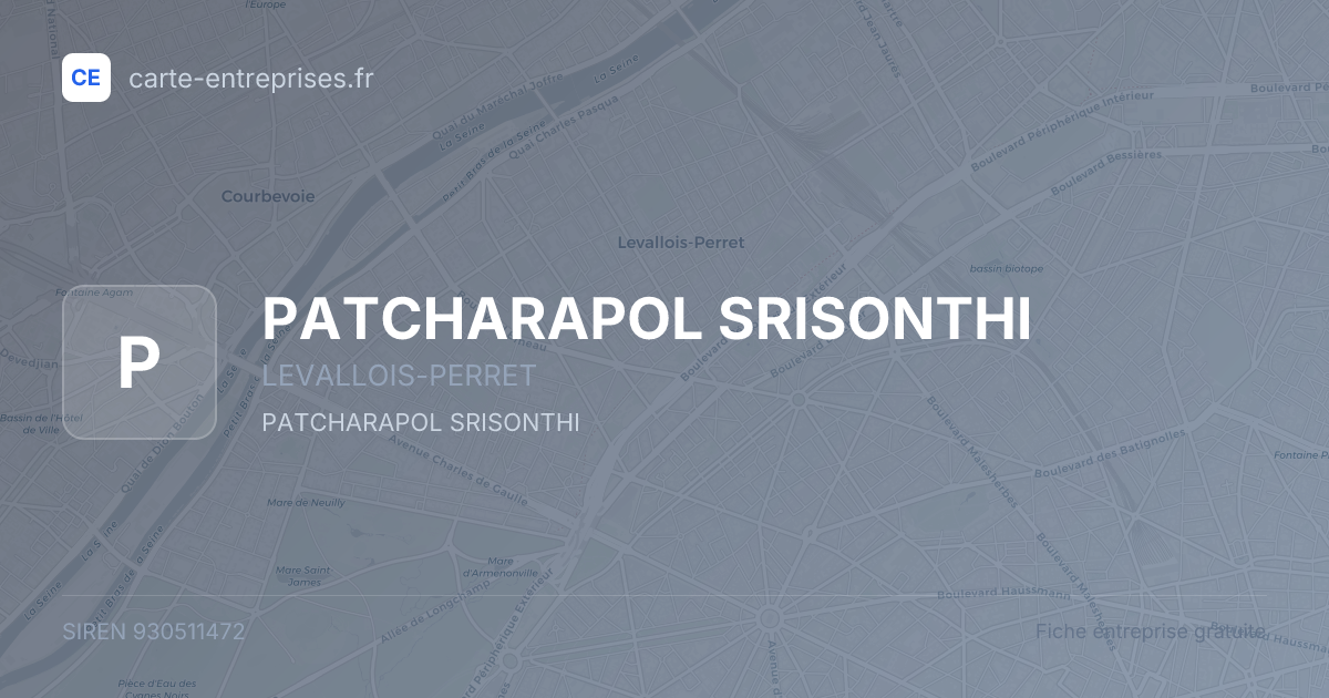 PATCHARAPOL SRISONTHI — 930511472 — fiche entreprise