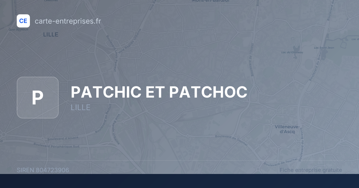 PATCHIC ET PATCHOC — 804723906 — fiche entreprise