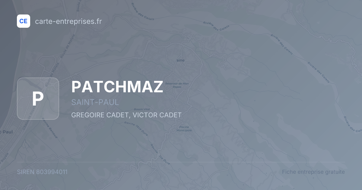 PATCHMAZ — 803994011 — fiche entreprise