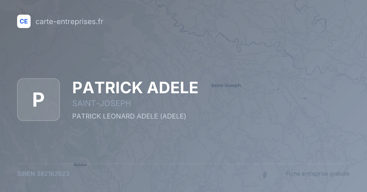PATRICK ADELE — 382162923 — fiche entreprise