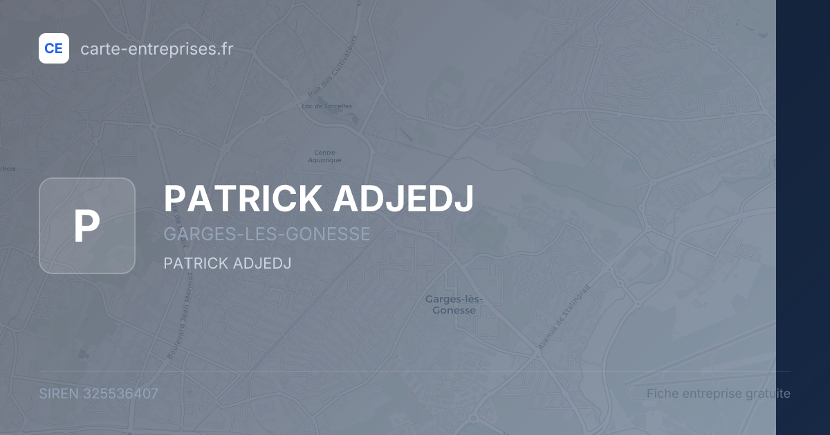 PATRICK ADJEDJ — 325536407 — fiche entreprise