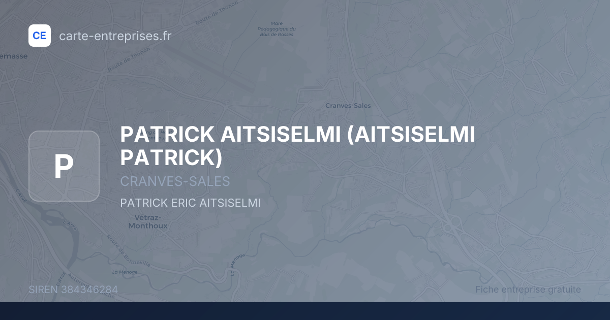 PATRICK AITSISELMI (AITSISELMI PATRICK) — 384346284 — fiche entreprise