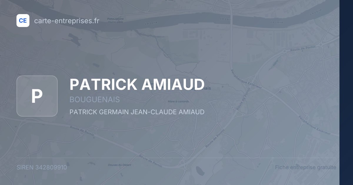 PATRICK AMIAUD — 342809910 — fiche entreprise
