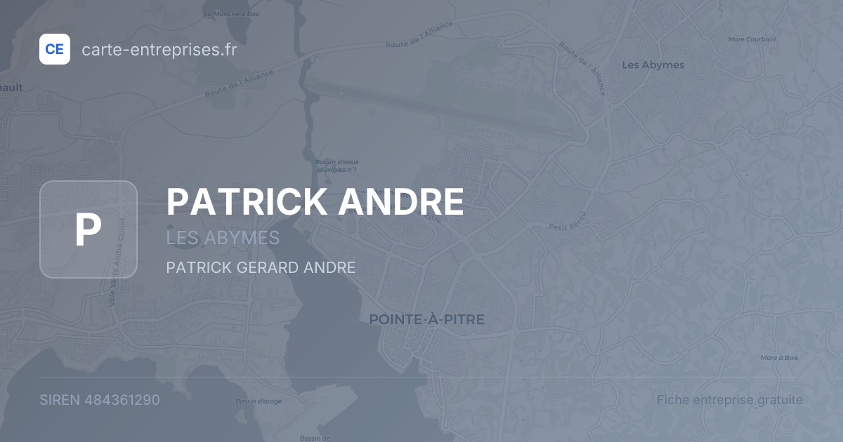 PATRICK ANDRE — 484361290 — fiche entreprise