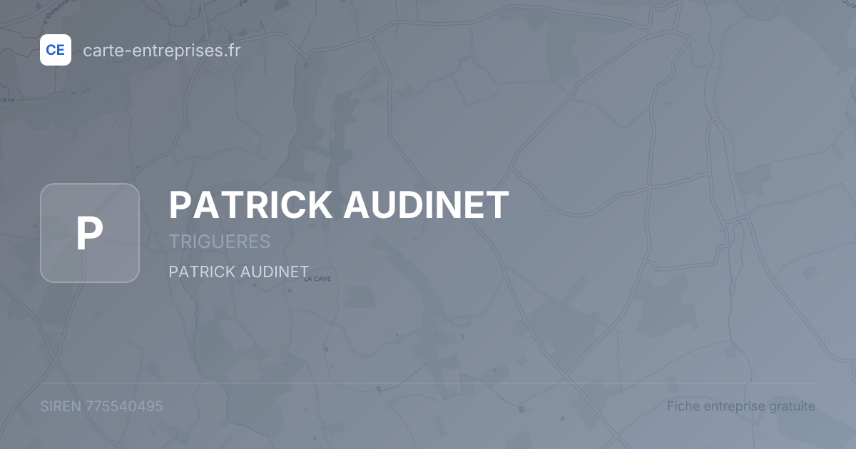 PATRICK AUDINET — 775540495 — fiche entreprise