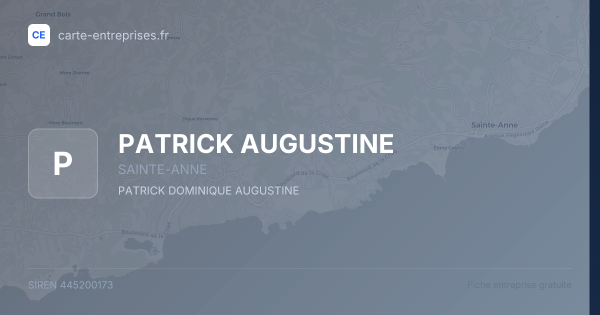 PATRICK AUGUSTINE — 445200173 — fiche entreprise