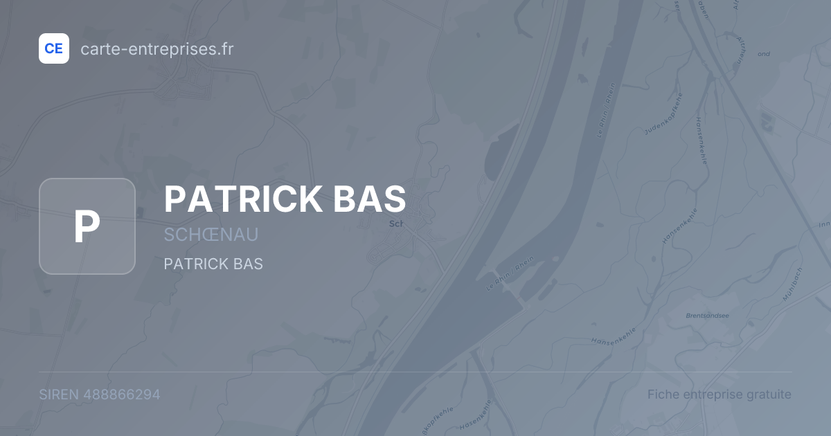 PATRICK BAS — 488866294 — fiche entreprise