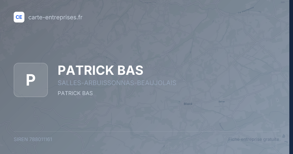 PATRICK BAS — 788011161 — fiche entreprise