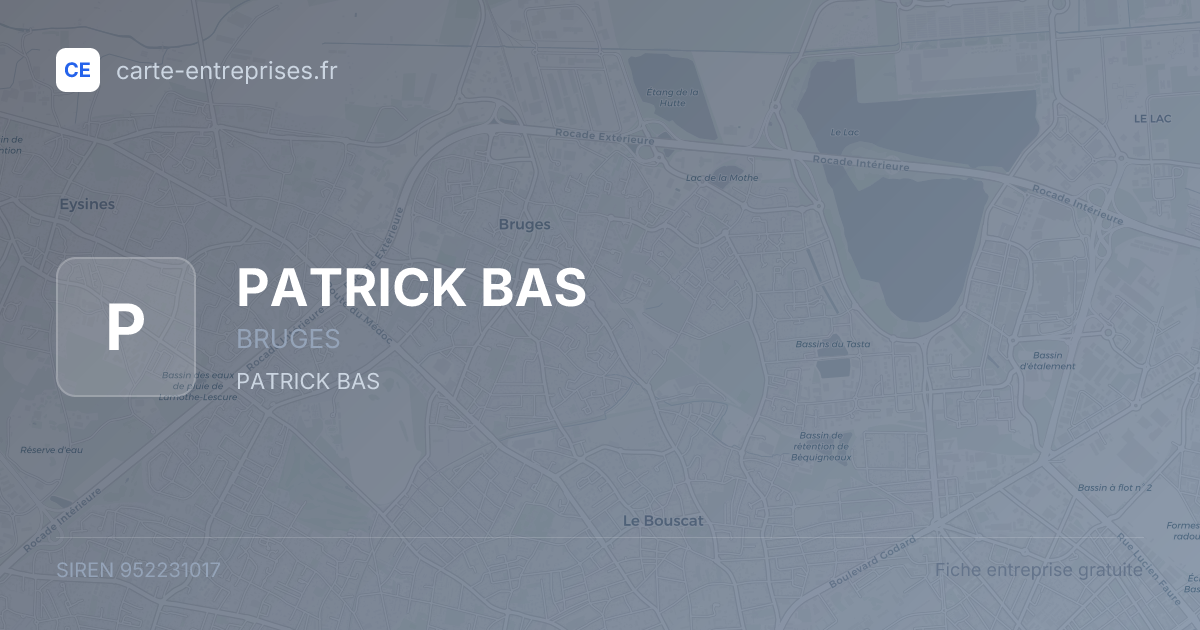 PATRICK BAS — 952231017 — fiche entreprise