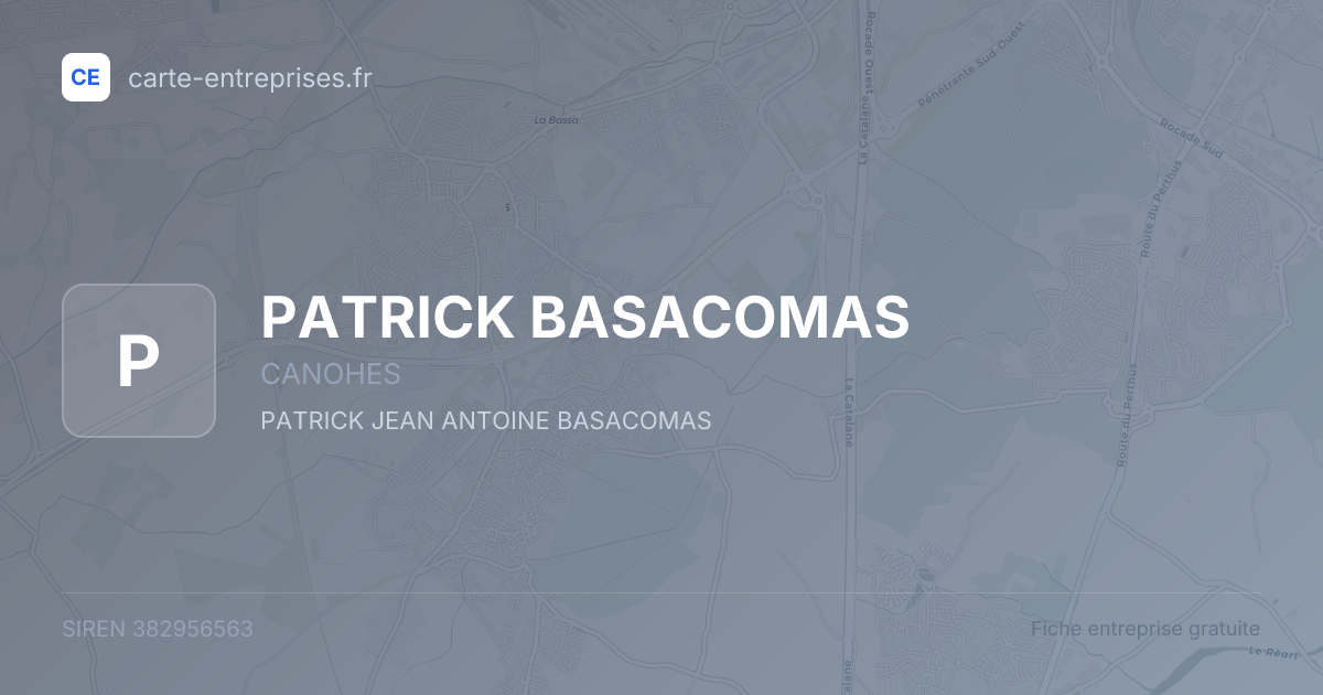 PATRICK BASACOMAS — 382956563 — fiche entreprise