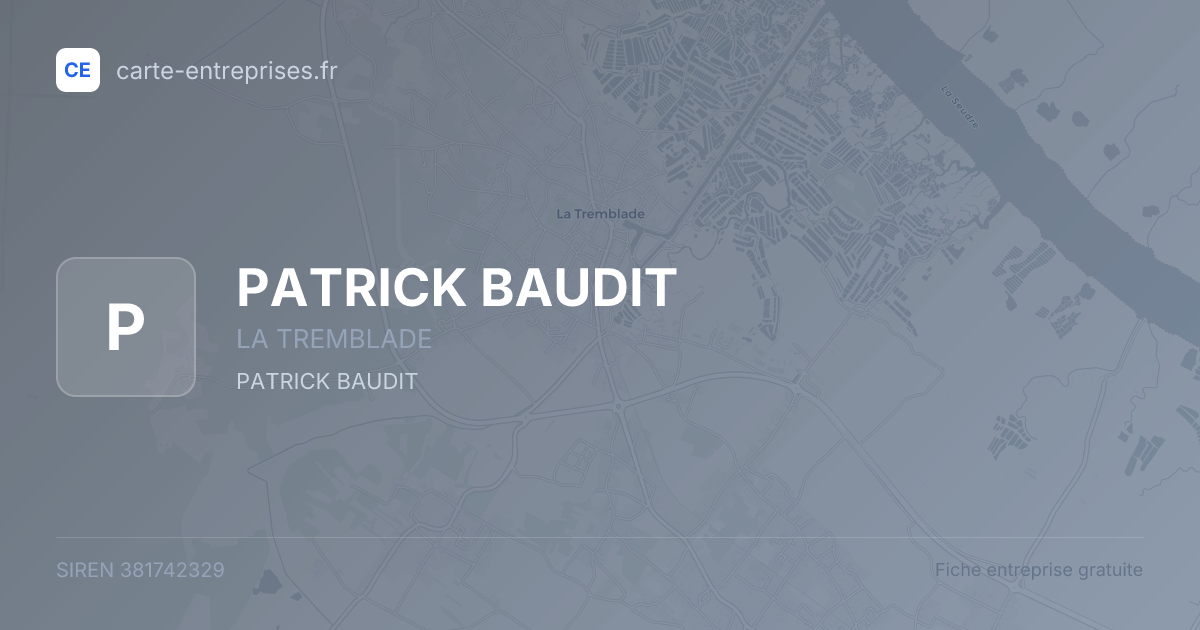 PATRICK BAUDIT — 381742329 — fiche entreprise