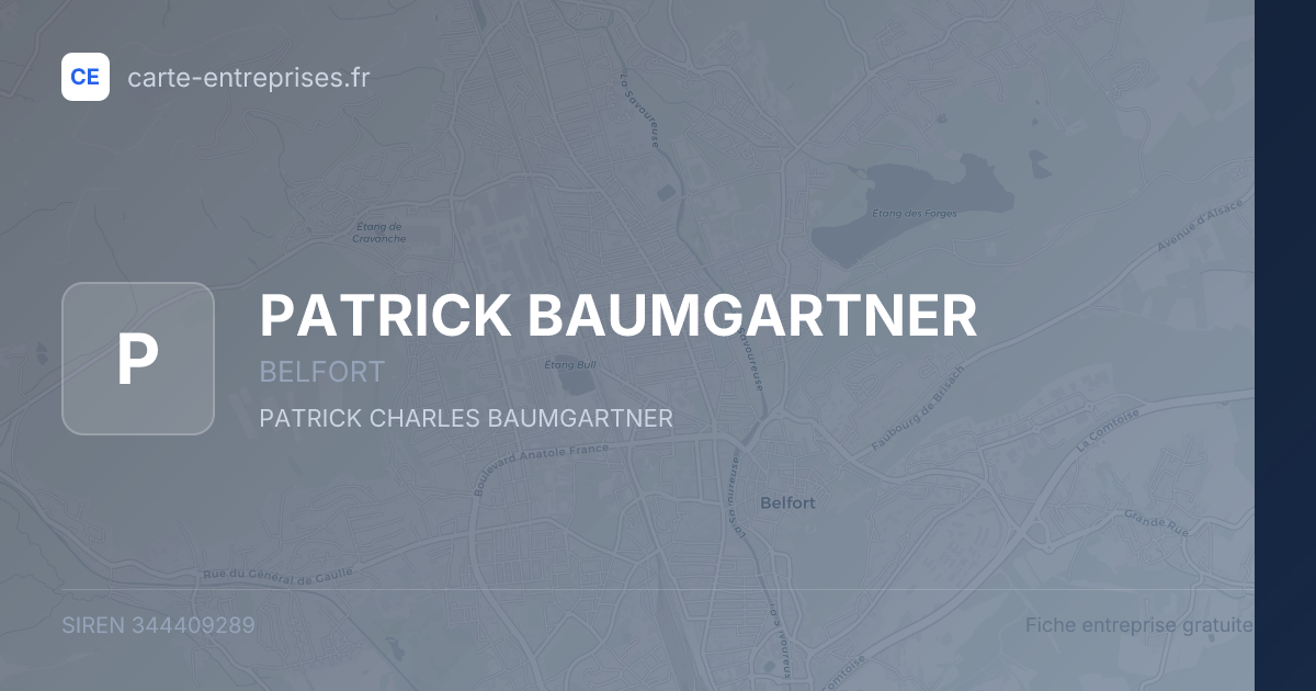 PATRICK BAUMGARTNER — 344409289 — fiche entreprise