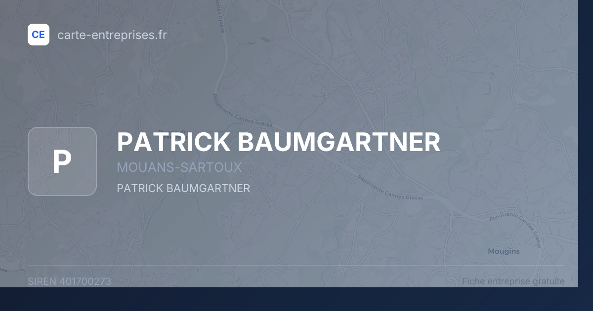 PATRICK BAUMGARTNER — 401700273 — fiche entreprise