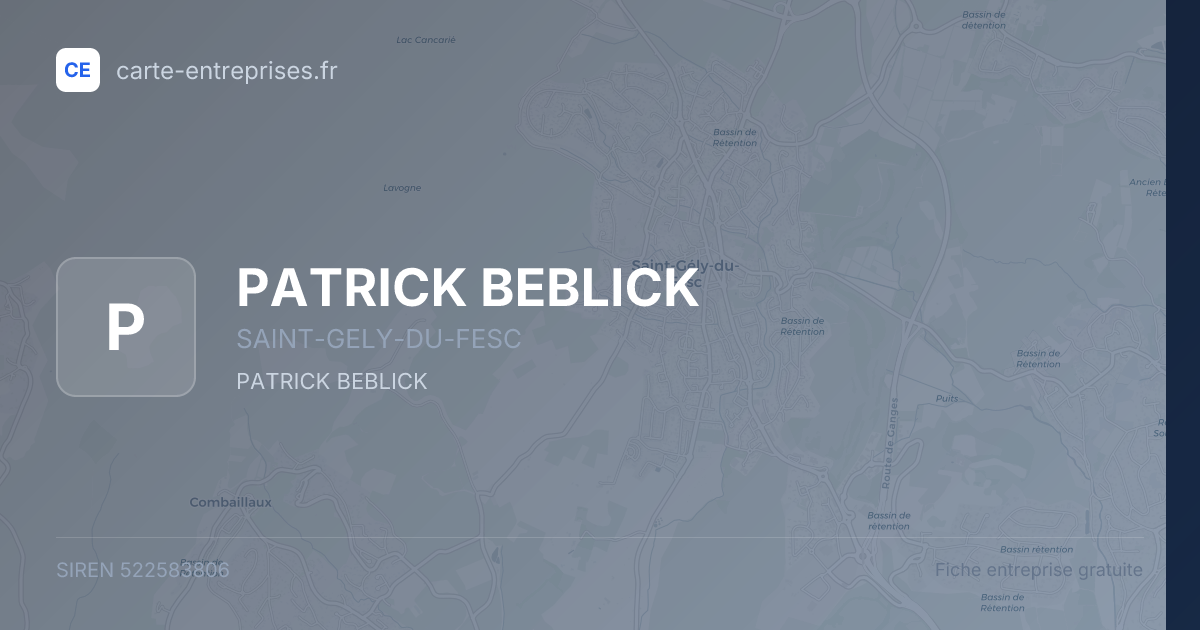 PATRICK BEBLICK — 522583806 — fiche entreprise