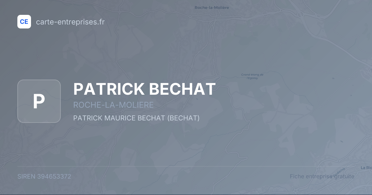 PATRICK BECHAT — 394653372 — fiche entreprise