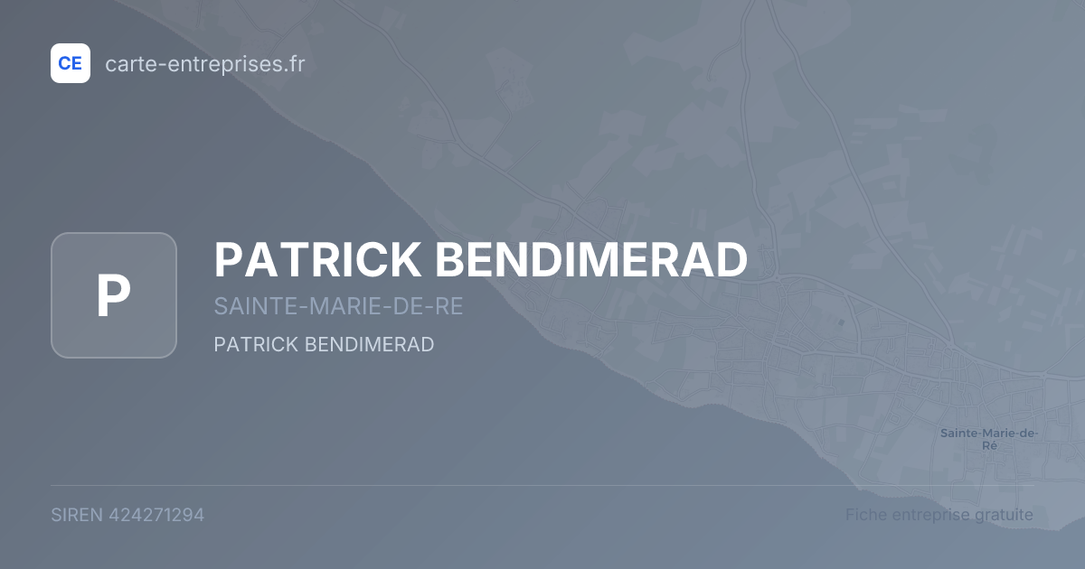 PATRICK BENDIMERAD — 424271294 — fiche entreprise