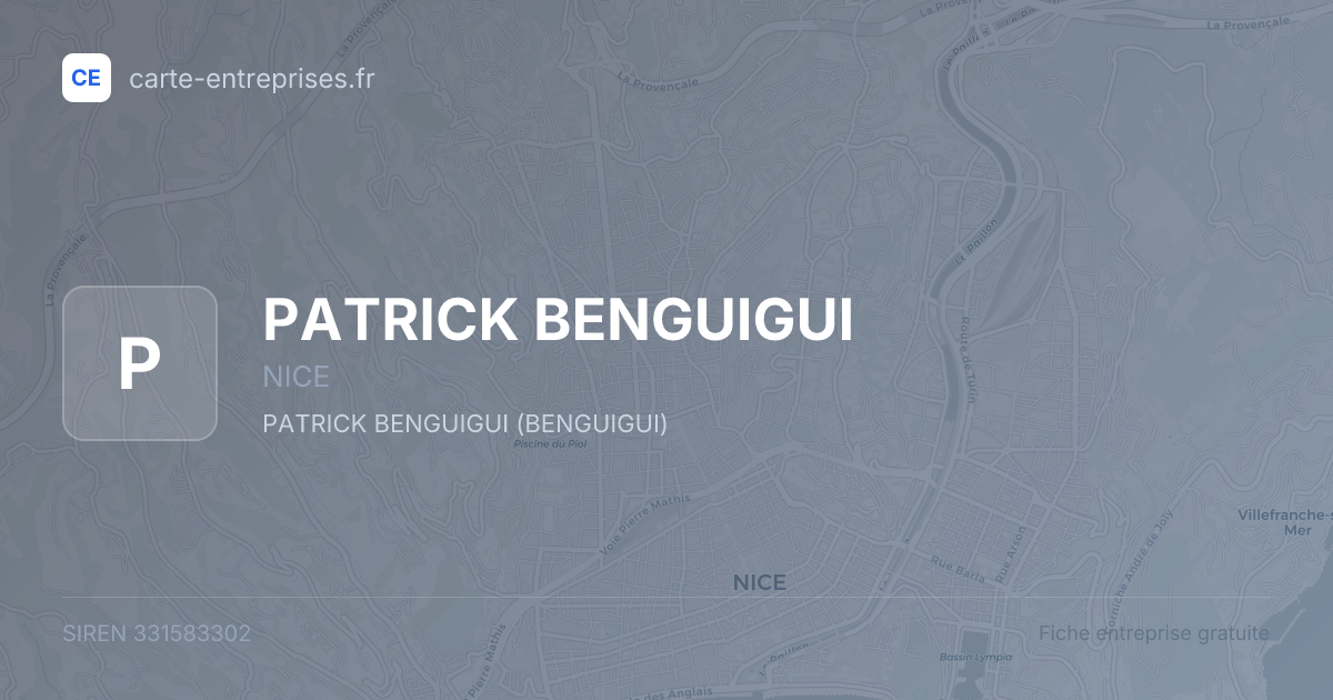 PATRICK BENGUIGUI — 331583302 — fiche entreprise