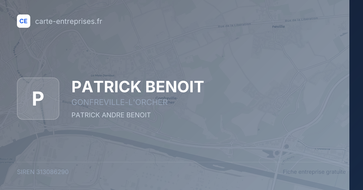 PATRICK BENOIT — 313086290 — fiche entreprise