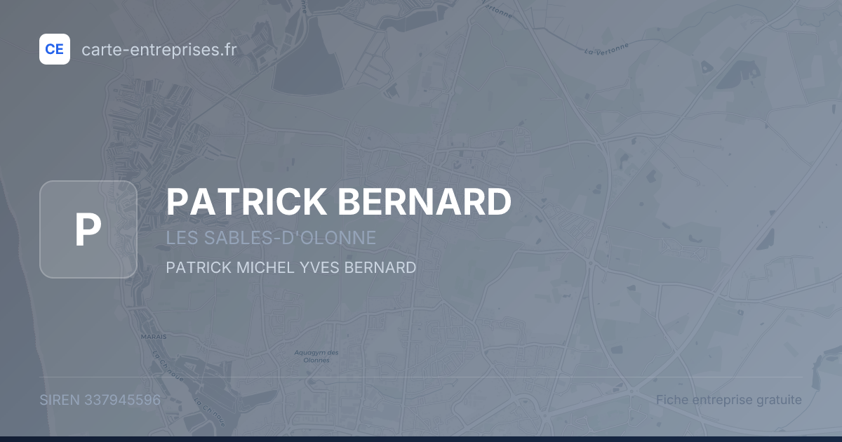 PATRICK BERNARD — 337945596 — fiche entreprise