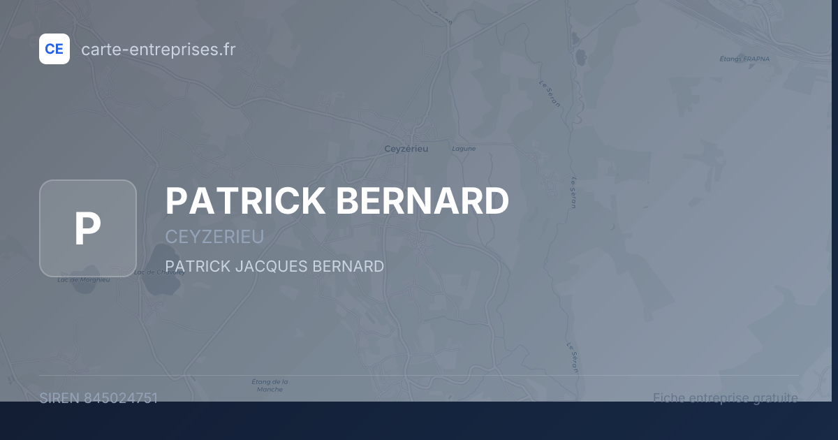 PATRICK BERNARD — 845024751 — fiche entreprise