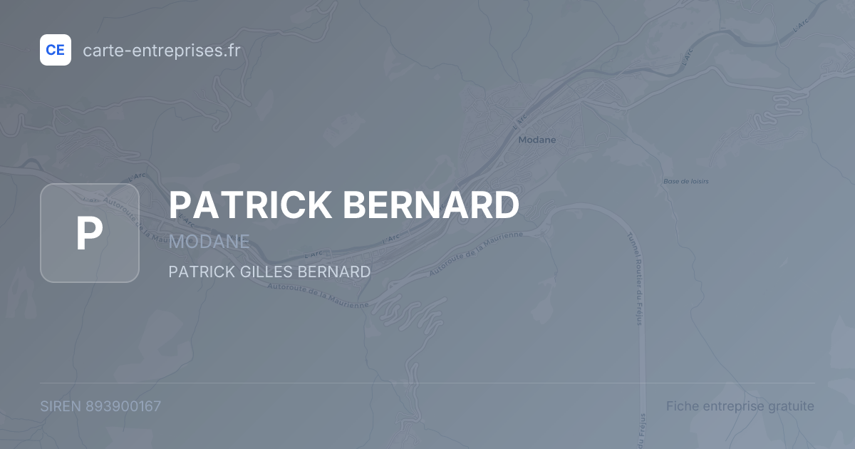 PATRICK BERNARD — 893900167 — fiche entreprise