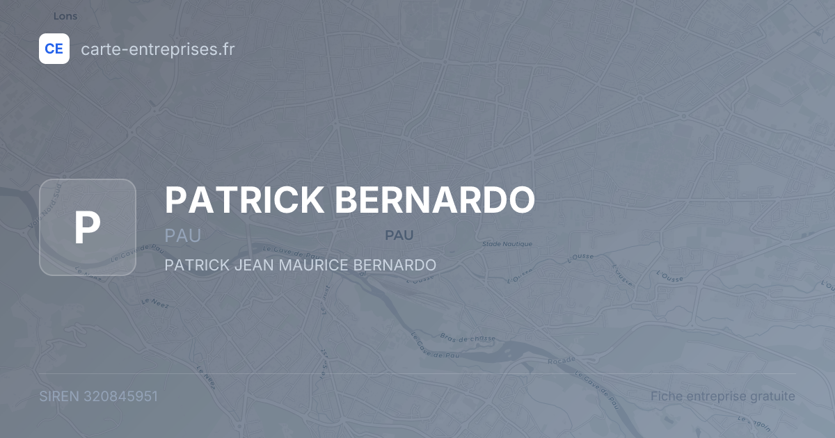 PATRICK BERNARDO — 320845951 — fiche entreprise