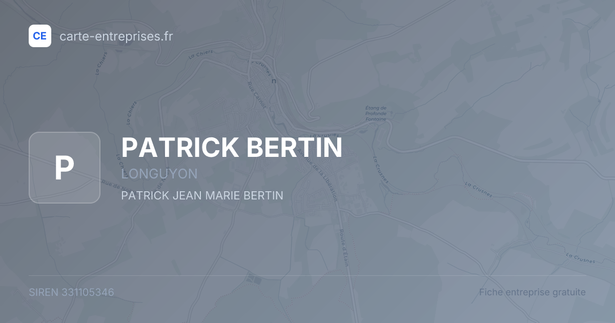 PATRICK BERTIN — 331105346 — fiche entreprise