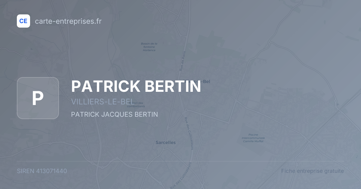 PATRICK BERTIN — 413071440 — fiche entreprise