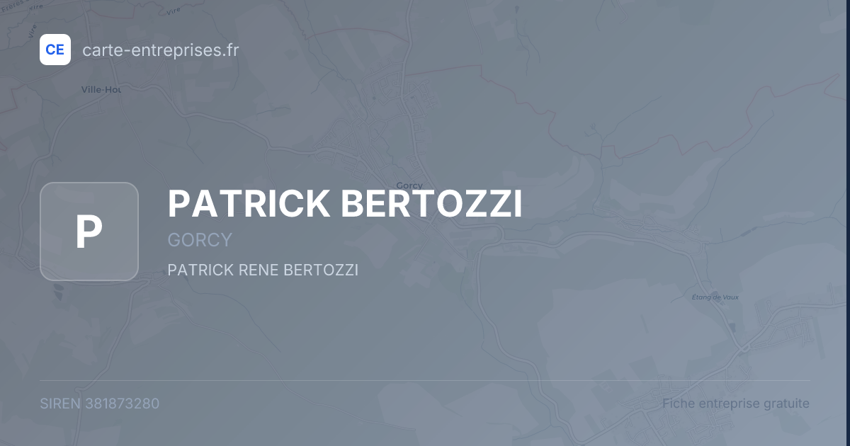PATRICK BERTOZZI — 381873280 — fiche entreprise