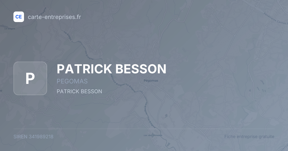 PATRICK BESSON — 341989218 — fiche entreprise