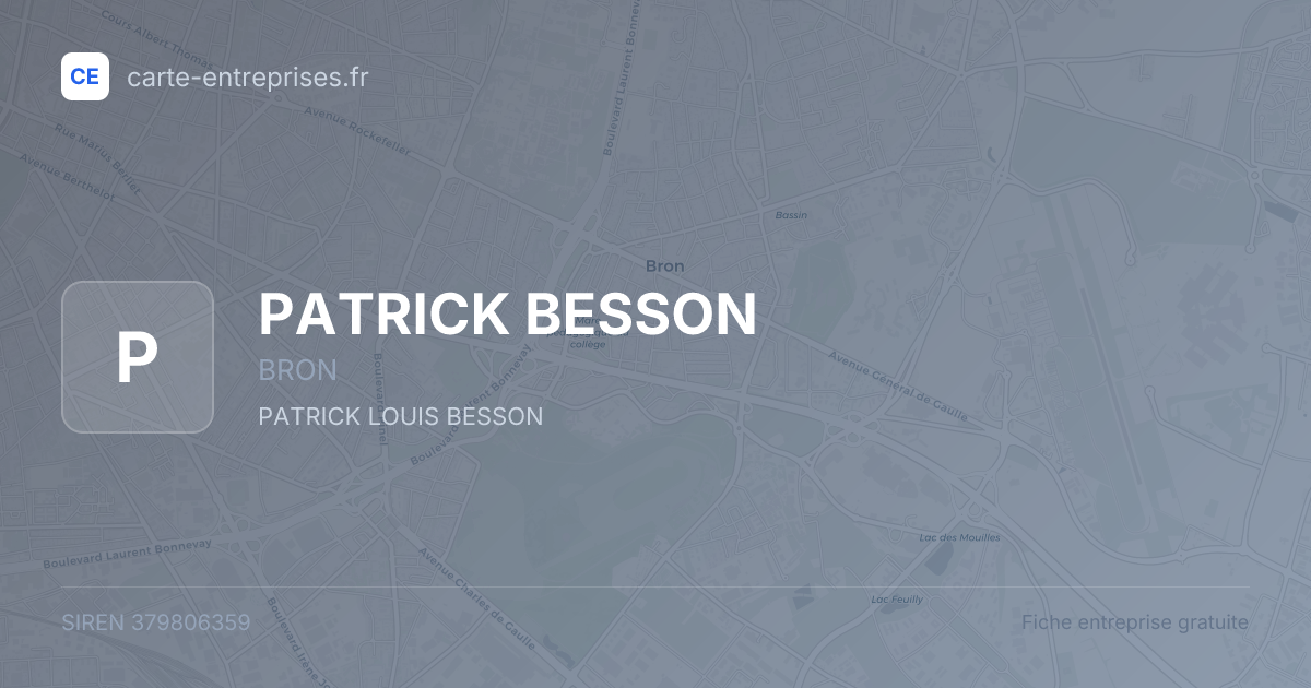 PATRICK BESSON — 379806359 — fiche entreprise