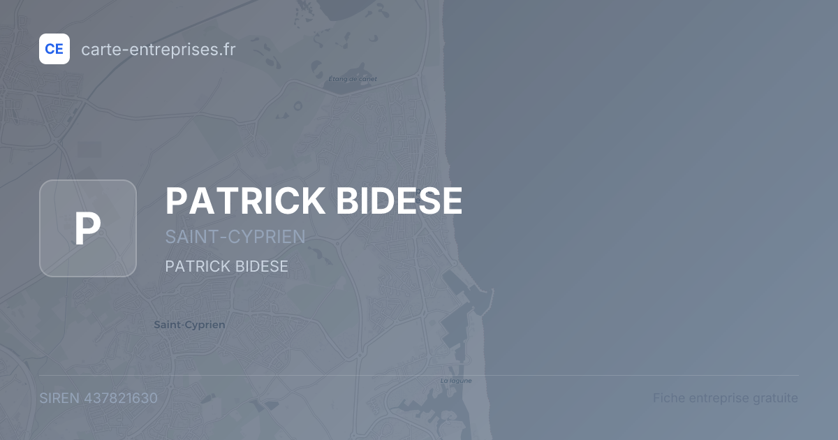 PATRICK BIDESE — 437821630 — fiche entreprise