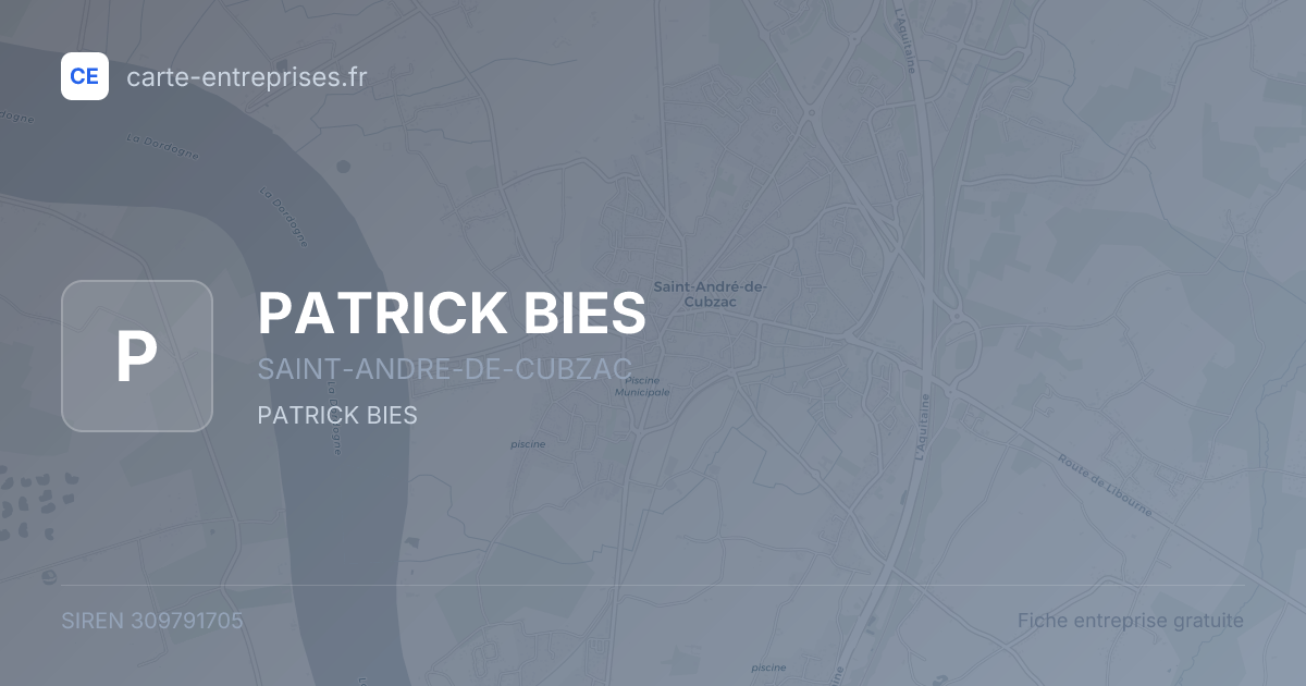 PATRICK BIES — 309791705 — fiche entreprise