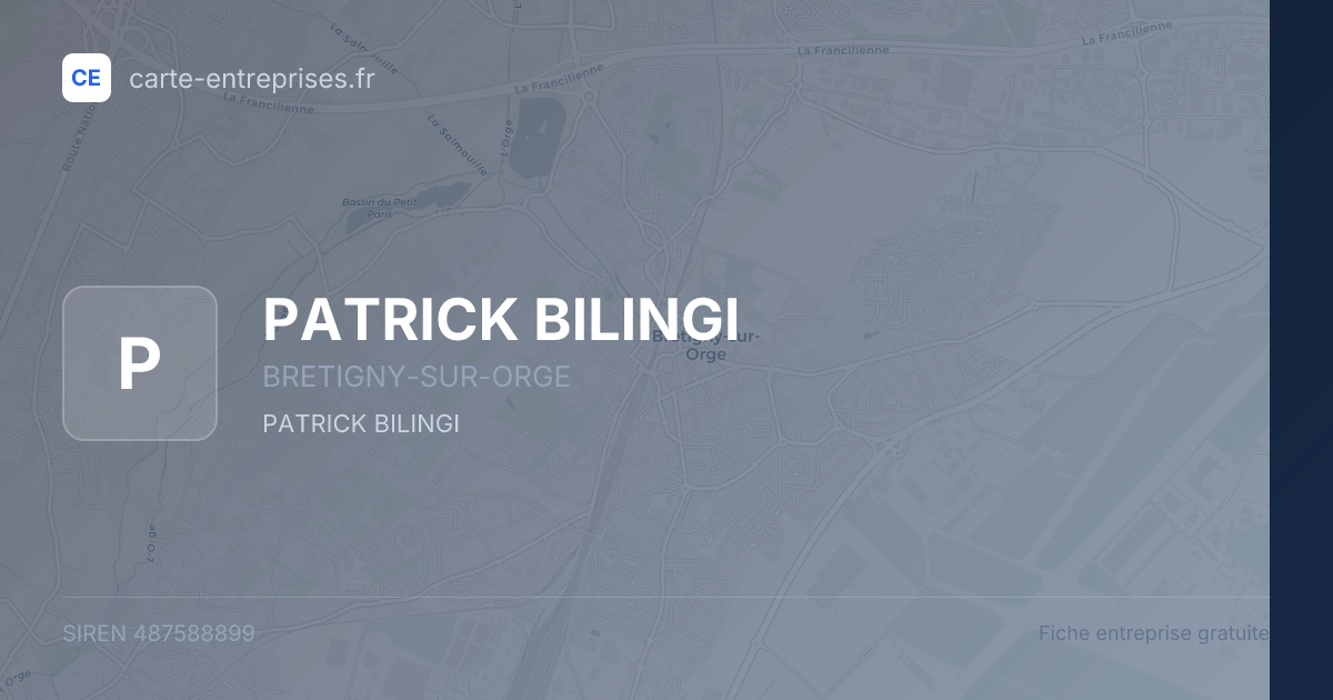 PATRICK BILINGI — 487588899 — fiche entreprise