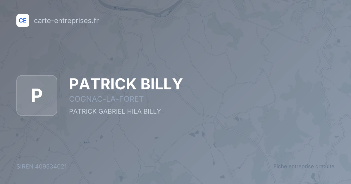 PATRICK BILLY — 409534021 — fiche entreprise