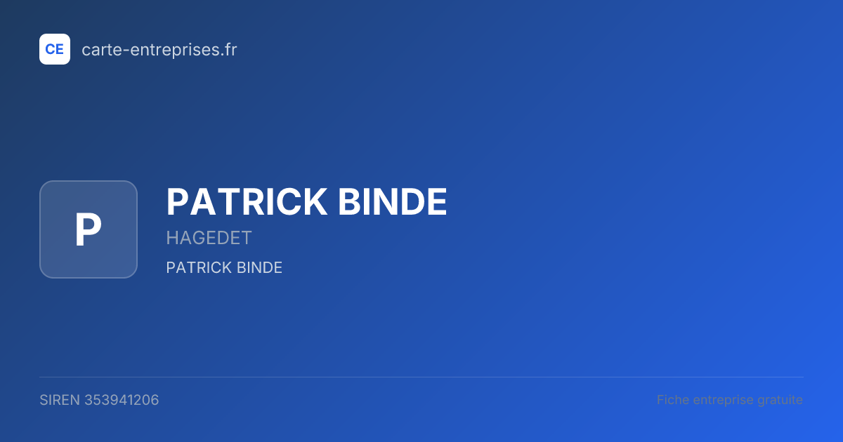 PATRICK BINDE — 353941206 — fiche entreprise
